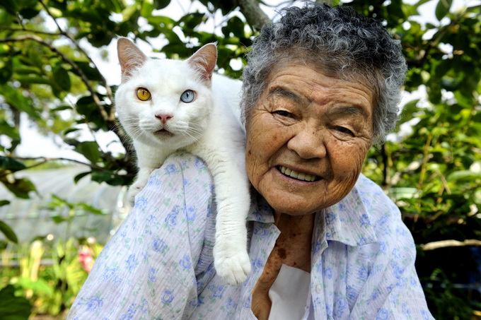 Дружба бабушки с кошкой ,прикольные картинки,приколы